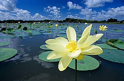 硬件杀手？Xbox Series X|S无法稳定30帧运行《地狱之刃2》